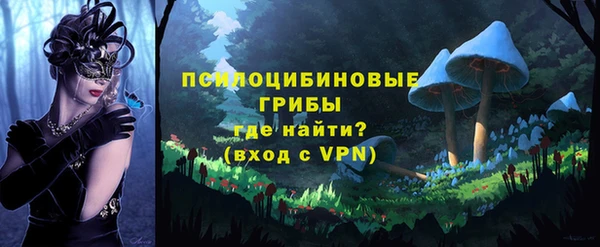 a pvp Горно-Алтайск