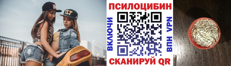 блэк спрут ссылки Самара Псилоцибиновые грибы GOLDEN TEACHER где можно купить